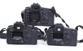 Eos-20d Canon Lot Of 3 Eos 20d 8.2 Mp Digital Slr Camera - Free Shipping #2