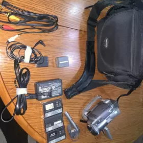 Pv-gs250 Panasonic Ntsc 3.1 Mp 3ccd Minidv Camcorder - Video Transfer