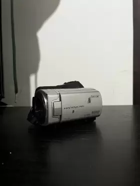 Dcr-sr42 Sony Dcrsr46 Camcorder/ 32gb Sd -tested