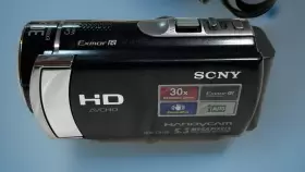 Hdr-cx190 Sony Handycam Camcorder 30x Zoom 5.3 Mega Pixels With Battery