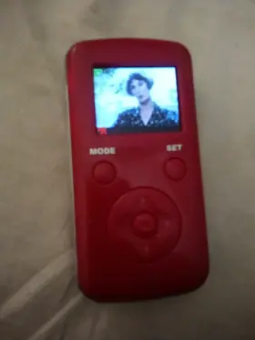 Dv1100vk Sylvania Pocket Camcorder. 640 Video& Takes Stills.no Accessories