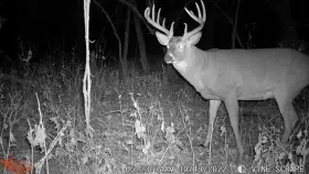 Wildgame Innovations 616376512360 Drt Extreme 8mp Ir Game Camera Combo 2 Pack #2