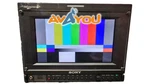 Sony PVM-740 7.4" Oled Field Monitor W/ AC-940W Adapter And Ps. Fixed Price $373.00.
