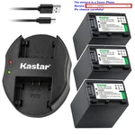 Kastar Battery Dual Charger For Sony NP-FH100 & DCR-HC22 DCR-HC23 DCR-HC24. Fixed Price $56.99.