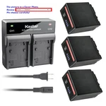 Kastar VW-VBG6 Pro Battery Ac Rapid Charger For Panasonic HDC-HS200 HDC-HS250. Fixed Price $116.99.