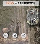Campark Wi-fi Bluetooth 20MP Trail Camera. Fixed Price $40.00.