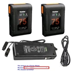 Kastar Battery Dtap Charger For Sony DSR-450WSL DSR-450WSPL. Fixed Price $194.99.