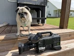 Panasonic AG-HPX300P P2HD Camcorder W/hd Color Vf, Fuji TH16X5.5BRM. Fixed Price $499.99.